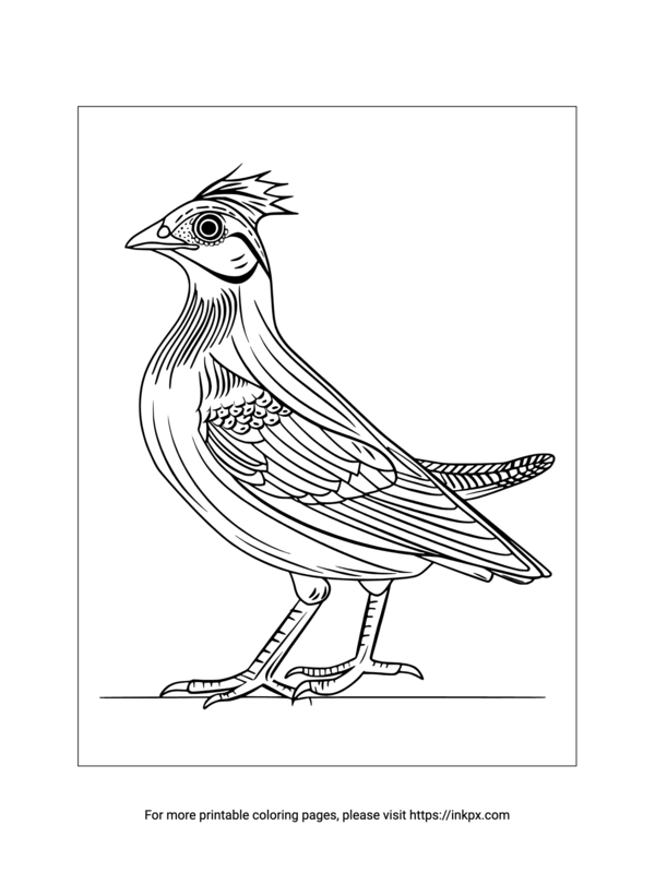 Free Printable Beautiful Bird Coloring Page Inkpx