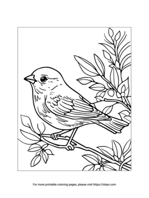Printable Bird Coloring Page