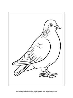 Printable Dove Coloring Sheet