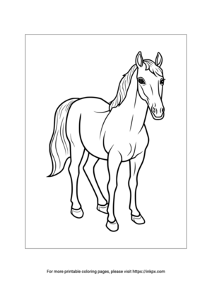 Printable Thoroughbred Horse Coloring Page