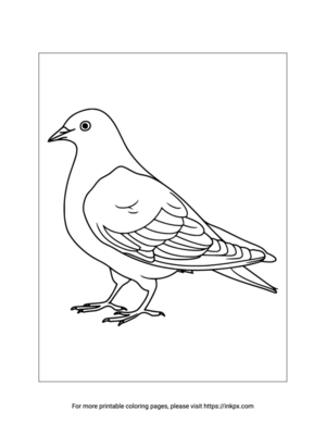 Printable Pigeon Coloring Sheet