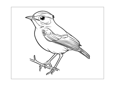 Bird Coloring Pages