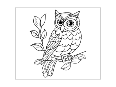 Owl Coloring Pages