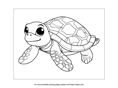 Turtle Coloring Pages