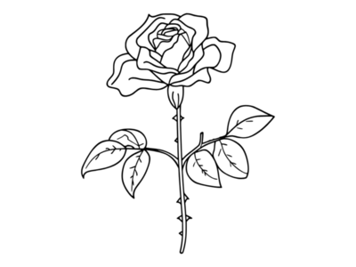 Rose Coloring Pages