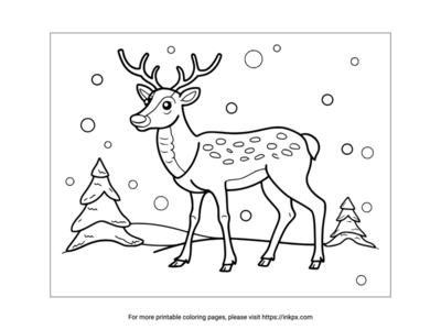 Reindeer Coloring Pages