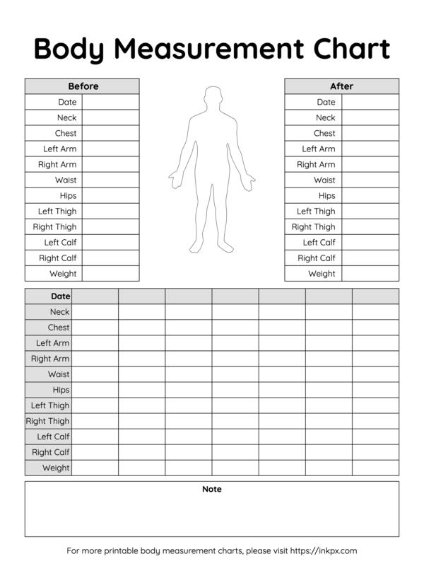 Free Printable Simple Table Style Body Measurement Chart For Male · InkPx