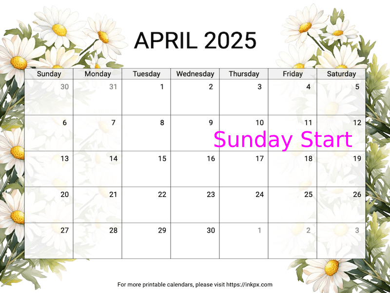 Free Printable Daisy April 2025 Calendar (Sunday Start)