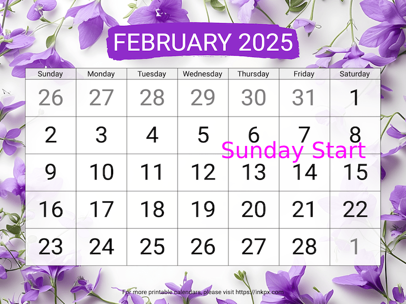 Free Printable Violet Large February 2025 Calendar (Sunday Start)