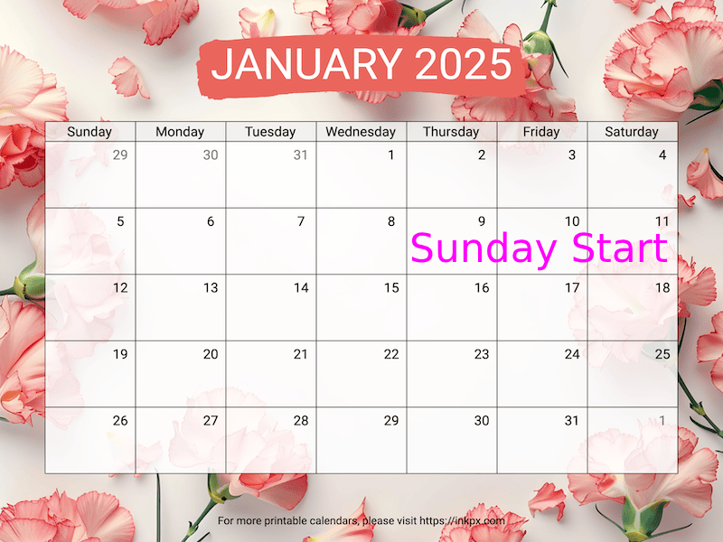 Free Printable Carnation Background January 2025 Calendar (Sunday Start)