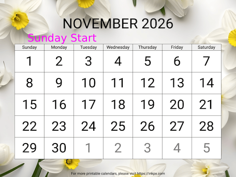 Free Printable Large Narcissus November 2026 Calendar (Sunday Start)