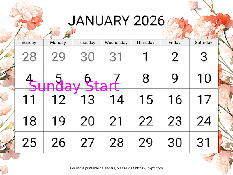 Free Printable Carnation Large Font January 2026 Calendar (Sunday Start)
