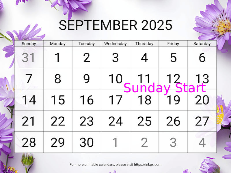 Free Printable Large Aster Background September 2025 Calendar (Sunday Start)