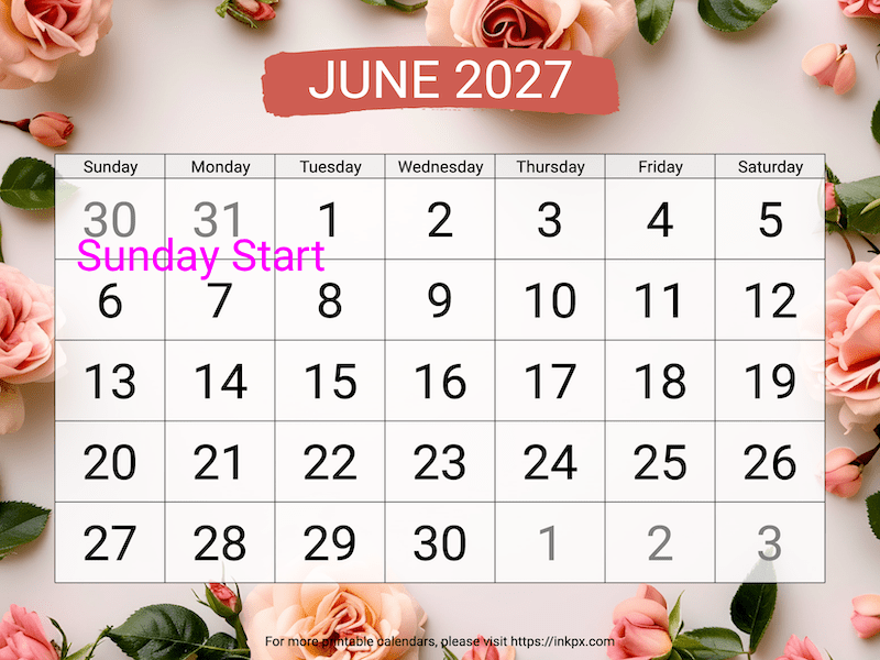 Free Printable Large Font Rose Background June 2027 Calendar (Sunday Start)