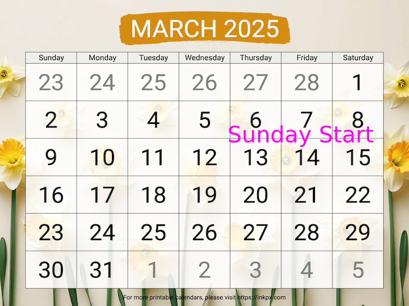 Free Printable Large Daffodil Background March 2025 Calendar (Sunday Start)