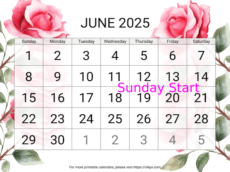 Free Printable Large Rose June 2025 Calendar (Sunday Start)