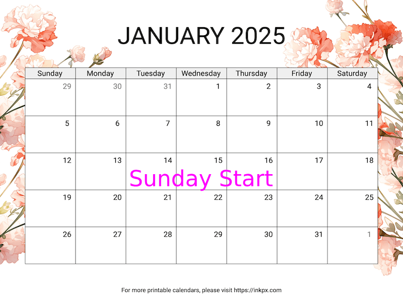 Free Printable Carnation January 2025 Calendar (Sunday Start)