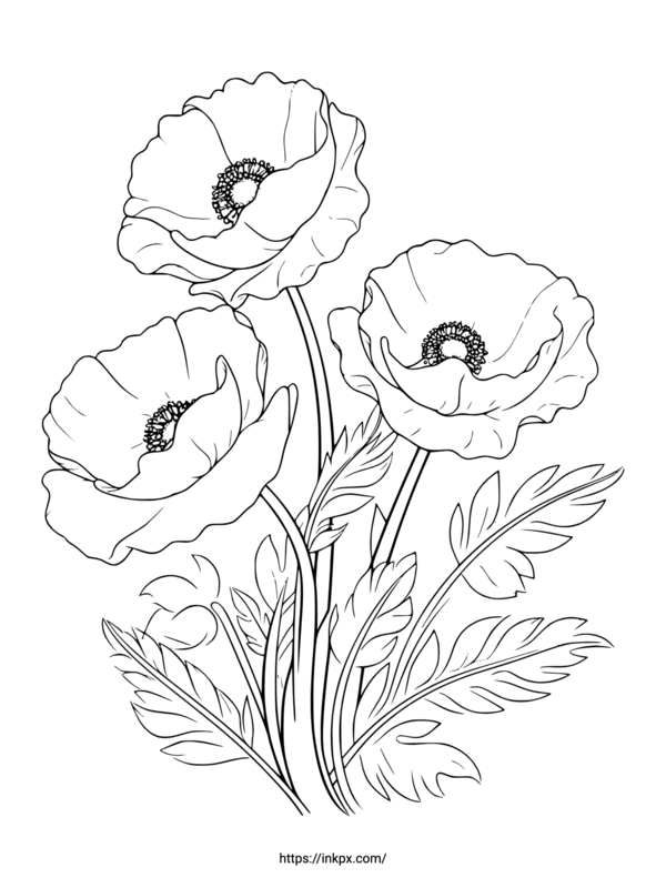 Free Printable A Bunch of Poppy Flower Coloring Page · InkPx
