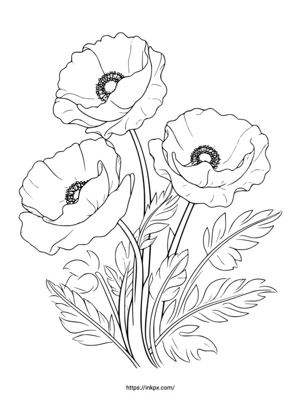 Free Printable A Bunch of Poppy Flower Coloring Page