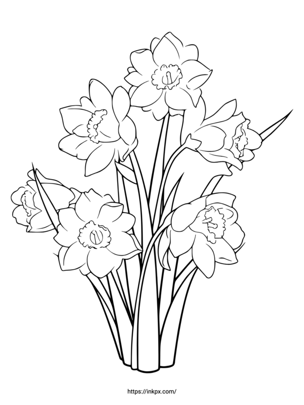 Free Printable Simple Daffodil Coloring Page · Inkpx