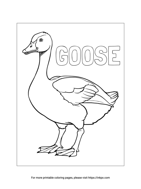 Free Printable Realistic Goose Coloring Page