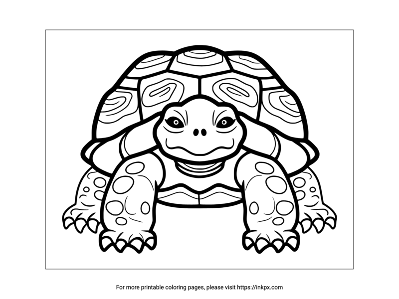 Printable Front View of Turtle Coloring Page