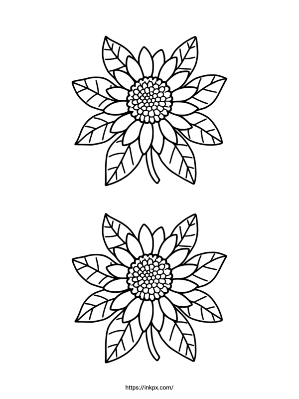 Free Printable Double Sunflower Coloring Page