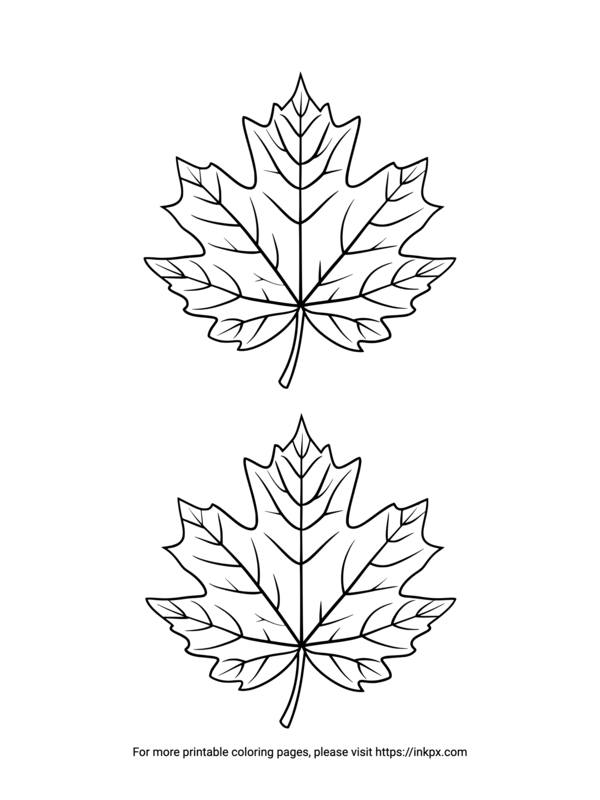 Free Printable Double Maple Leaves Coloring Page