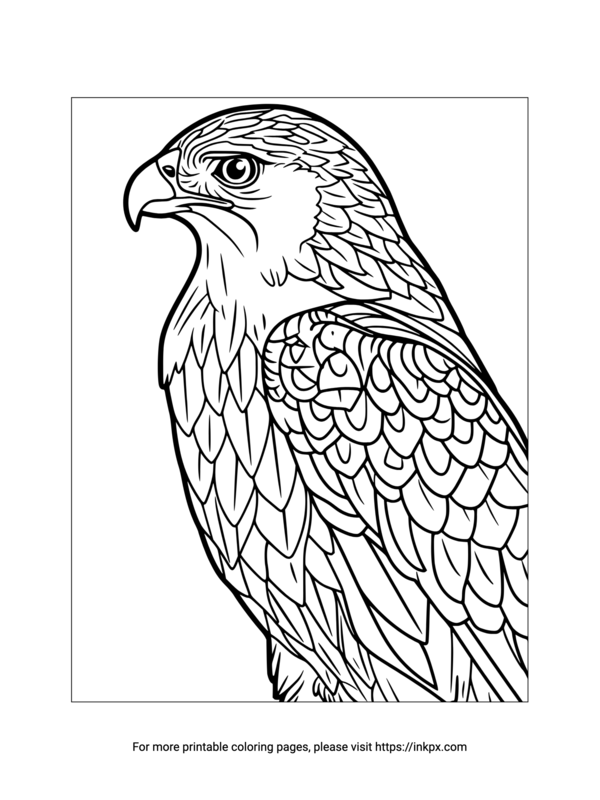 Printable Falcon Coloring Page