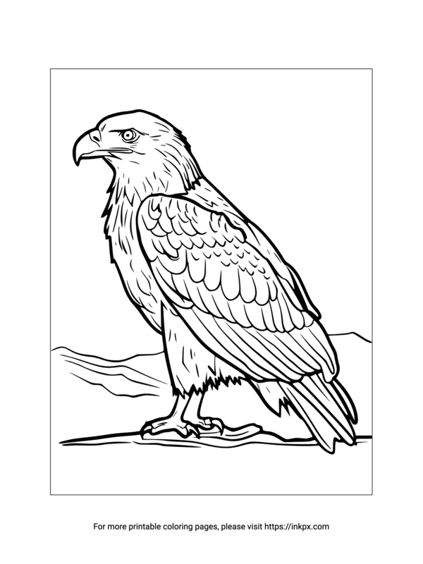 Printable Eagle Coloring Sheet