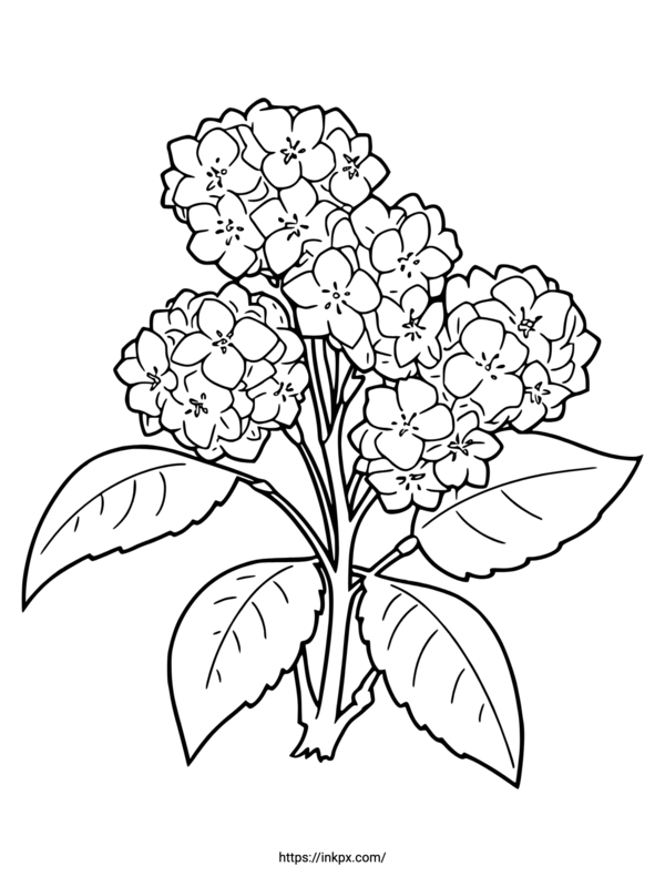 Free Printable Line Art Lilac Coloring Page