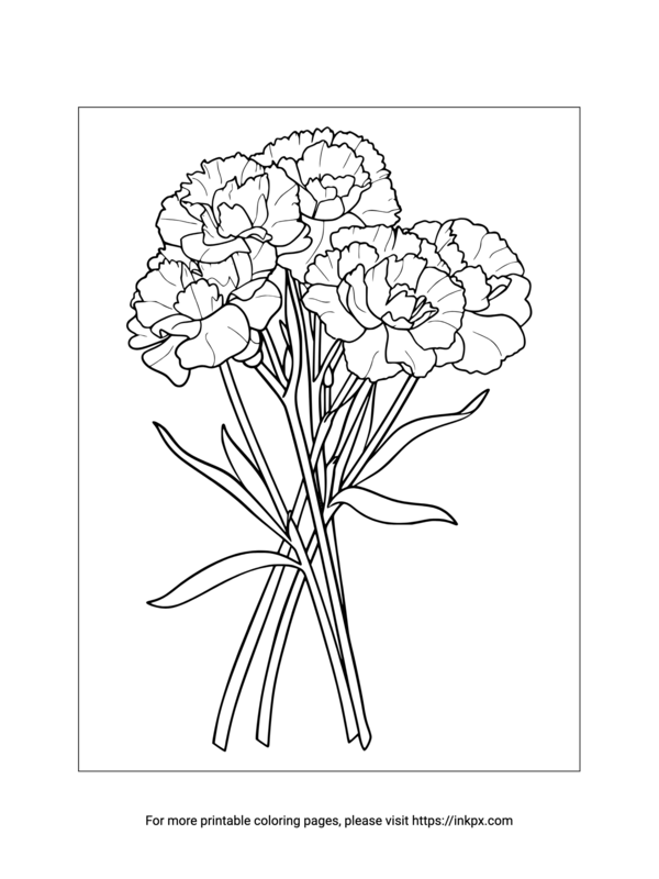 Free Printable Carnation Bouquet Coloring Page