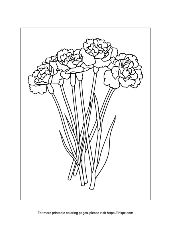 Free Printable Carnation Bouquet Coloring Sheet