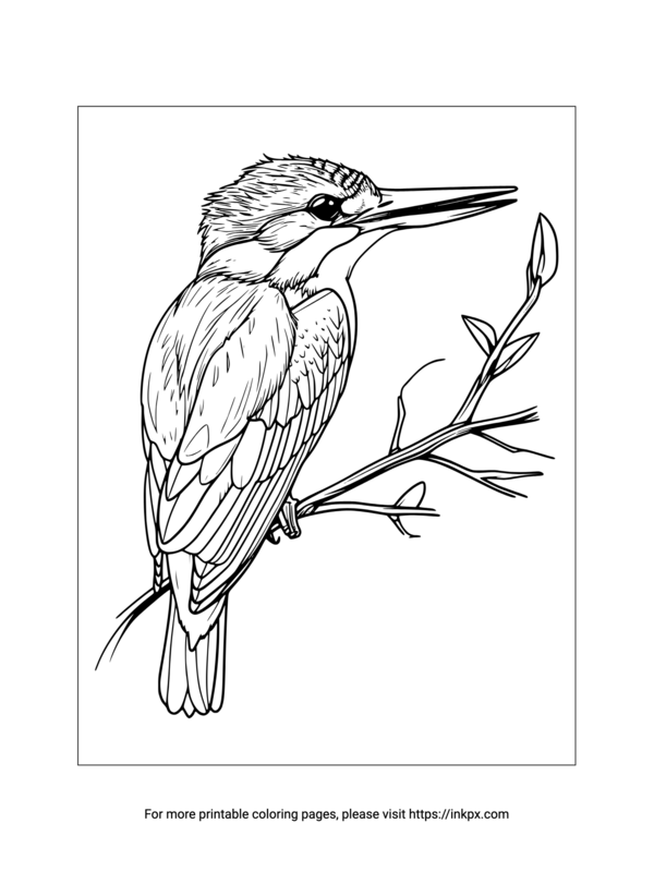 Printable Kingfisher Coloring Sheet