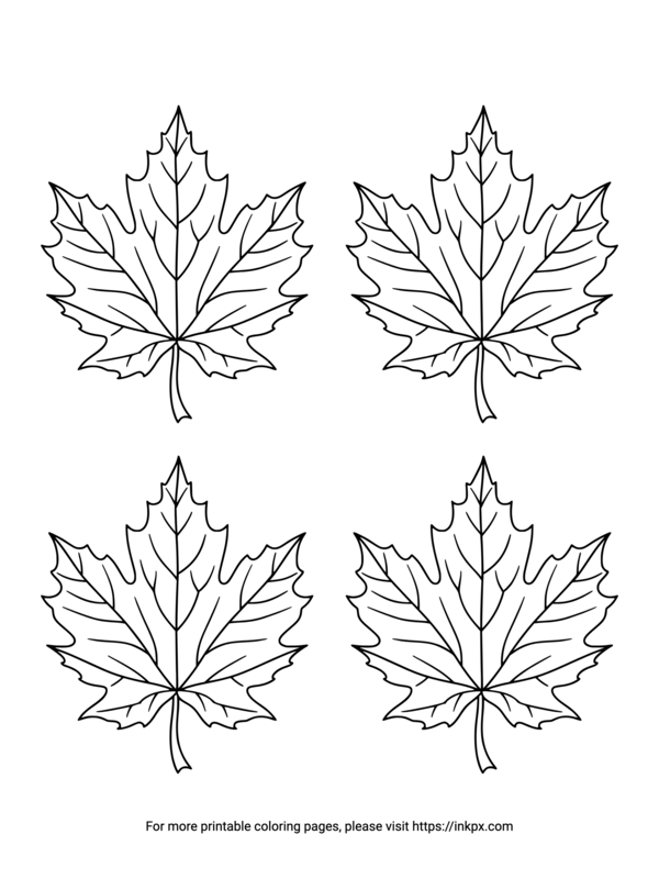Free Printable Quadruple Maple Leaves Coloring Page
