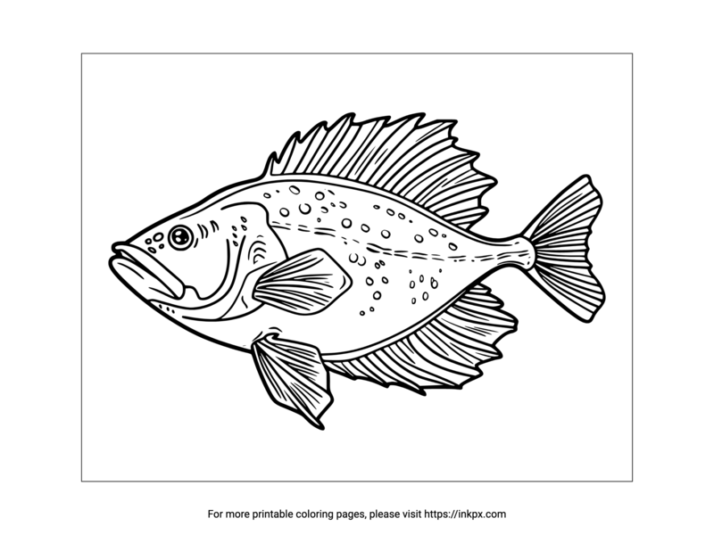 Printable Halibut Coloring Page