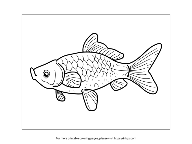 Printable Carp Fish Coloring Page · InkPx