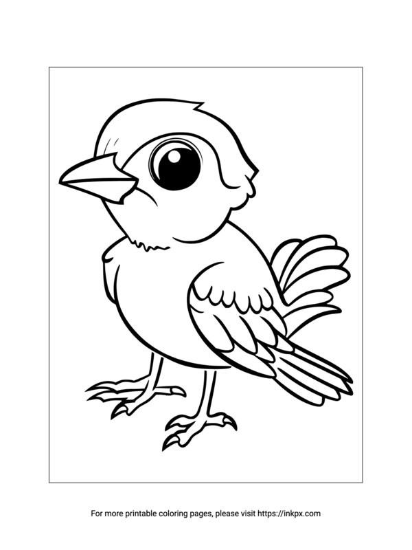 Free Printable Cute Plover Bird Coloring Page