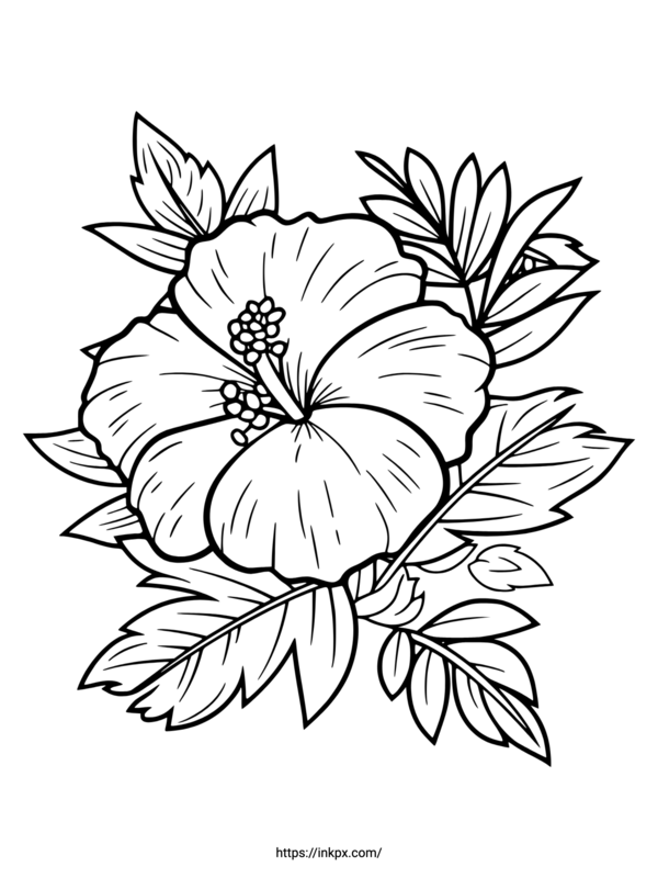 Free Printable Hibiscus Coloring Page