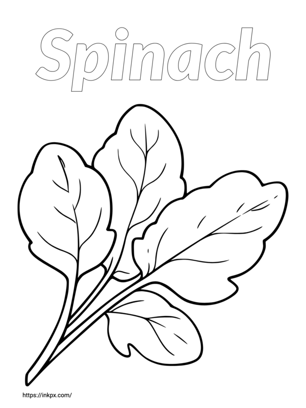 Free Printable Spinach Coloring Page · InkPx