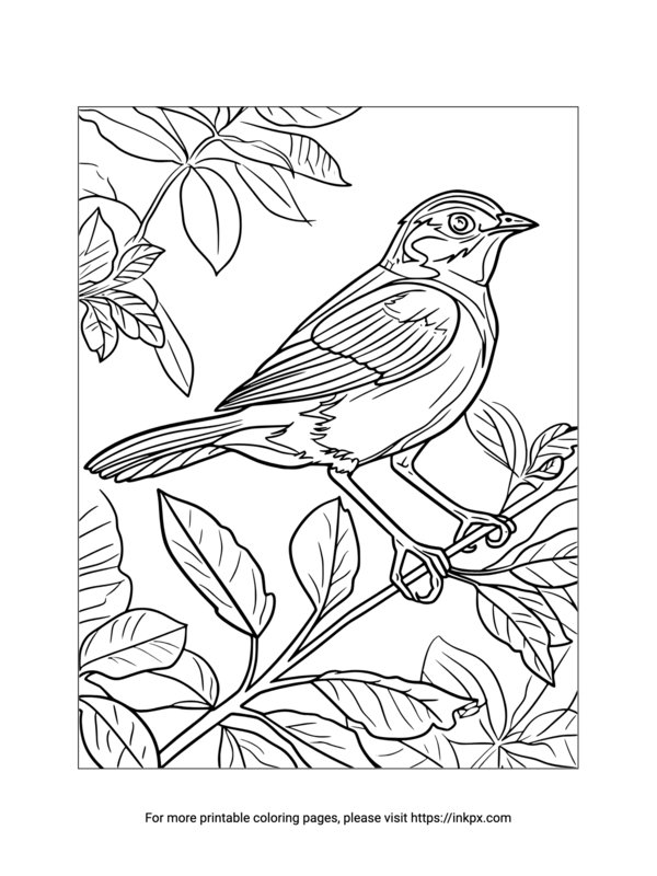 Free Printable Bird & Tree Leaves Coloring Page