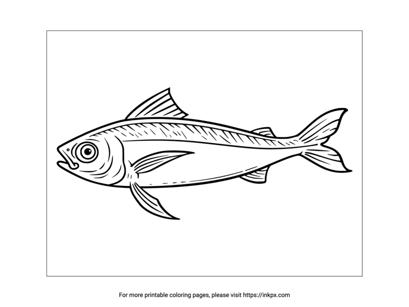 Printable Anchovy Coloring Page