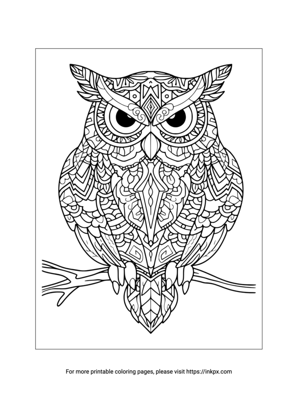 Printable Owl Coloring Sheet for Adults