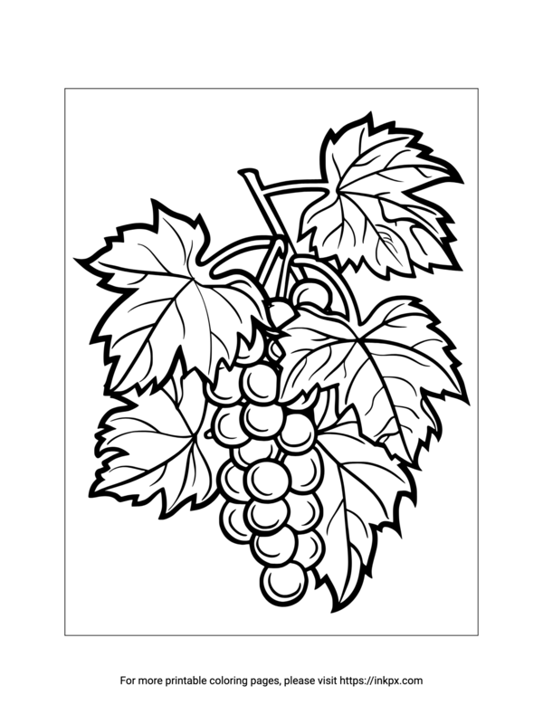 Free Printable Grape and Leaves Coloring Sheet