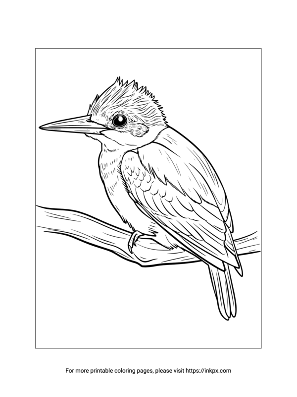 Printable Kingfisher Coloring Page