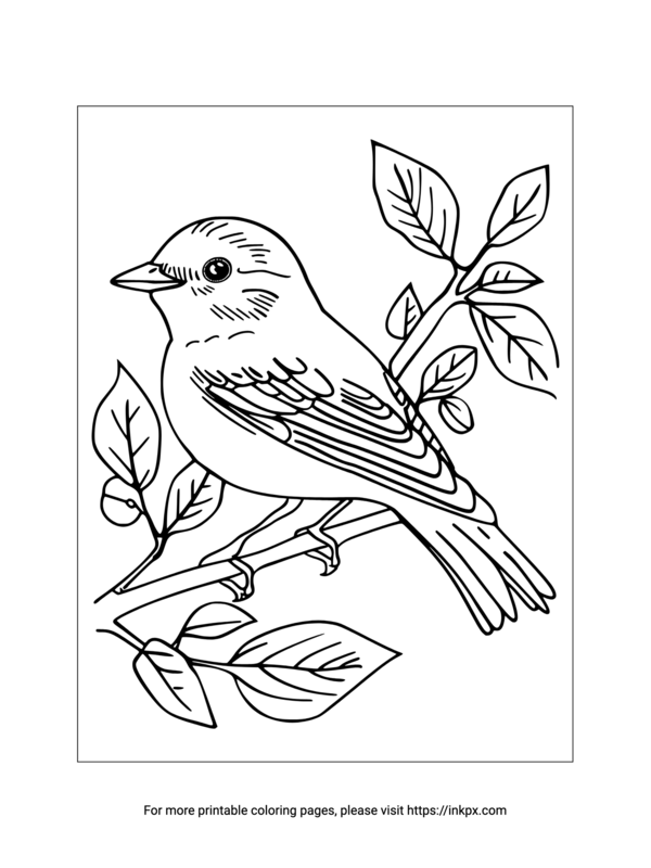 Free Printable Finch Coloring Page