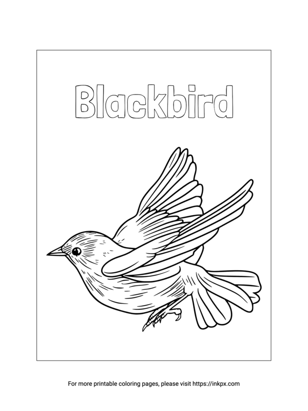 Printable Blackbird Coloring Page