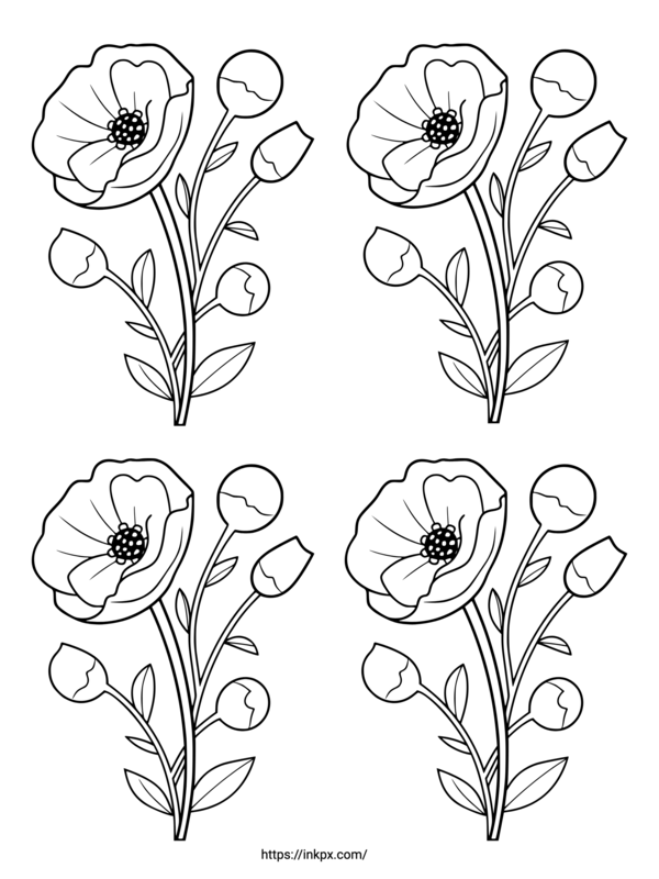 Free Printable Quadruple Poppy Flower Coloring Page