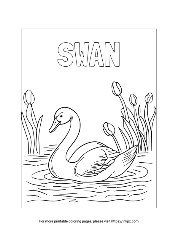 Free Printable Swan Coloring Page