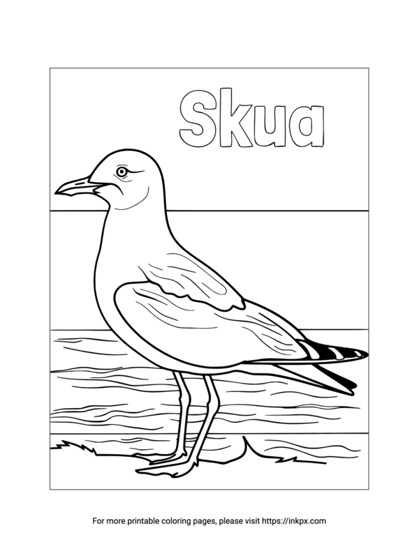 Free Printable Skua Coloring Sheet